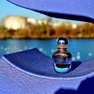 Amo Ferragamo (Eau de Parfum) von Salvatore Ferragamo