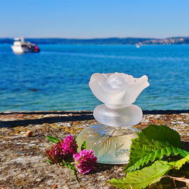 Sommer, Sonne und Wasser ☀️💦☀️ Ist die Welt nicht schön? 🥰 Herzlichen Dank für Eure Blicke und Worte 🥰