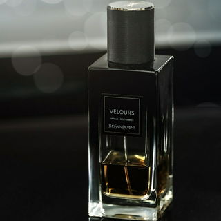 Velours (2016) von Yves Saint Laurent