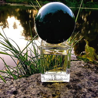 Fantôme de Maules - Stora Skuggan