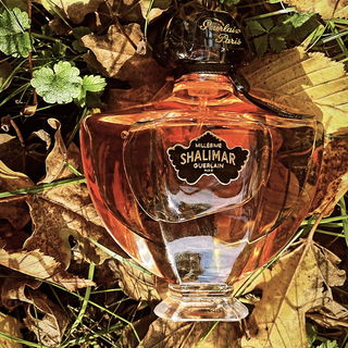 Shalimar Millésime Tonka von Guerlain