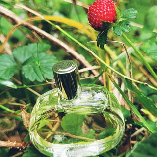 Barénia (Eau de Parfum) von Hermès