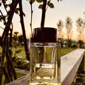 Der Illusione in seinem natürlichen Habitat - dem Sommerabend. (by MuckiMango)