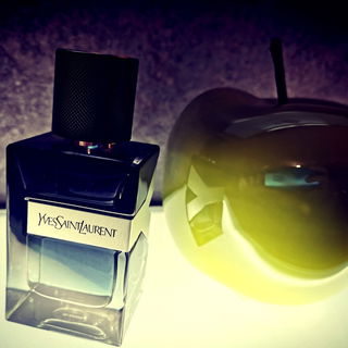 Y (Eau de Parfum) by Yves Saint Laurent