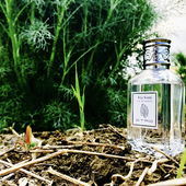 Wer bist den Duuu...?!?;-)) (von LaVioletta)