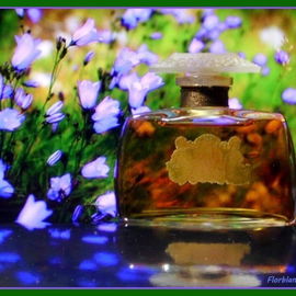 Flores del Campo - Floralia