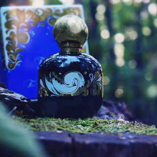 Enchanted Forest - The Vagabond Prince