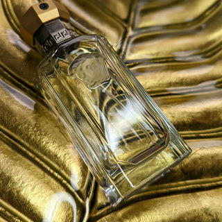 The Dreamer (Eau de Toilette) von Versace