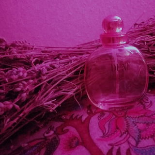 Dune (Eau de Toilette) von Dior