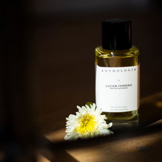 Ce n'est pas un Patchouly by Anthologie by Lucien Ferrero