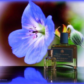 Etiquette Bleue (Eau de Toilette) - d'Orsay