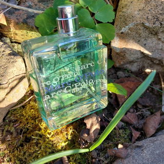 Marc O'Polo Man (2006) von Marc O'Polo