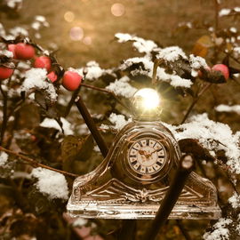 Die ZEIT bis Weihnacht vergeht schnell...