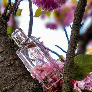 Gegenüber meiner Adresse