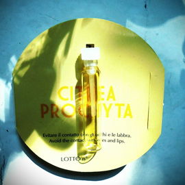 Citrea Prochyta