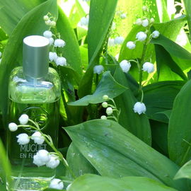 Un Matin au Jardin - Muguet en Fleurs / Lily of the Valley - Yves Rocher