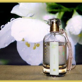 Flor de Jazmín / Jazmín - Campos de Ibiza