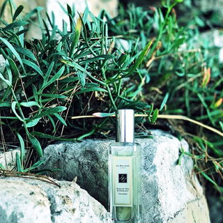 English Oak & Hazelnut by Jo Malone