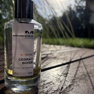 Intense Cedrat Boise von Mancera