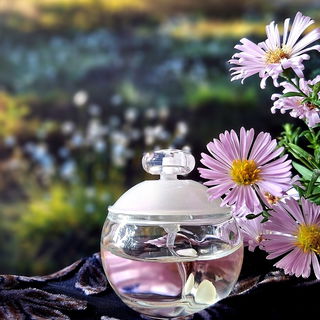 Noa (Eau de Toilette) von Cacharel