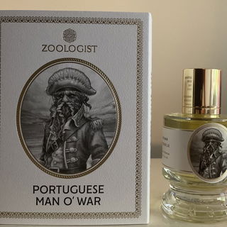 Portuguese Man O' War - Zoologist