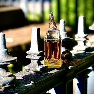 Baz Cuir von The Spirit of Dubai