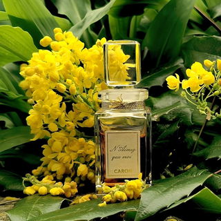 N'Aimez que Moi (1916) (Parfum)