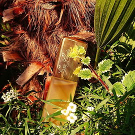 Private Collection (Eau de Parfum) - Estēe Lauder