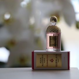 Aqua Allegoria Florabloom Forte - Guerlain