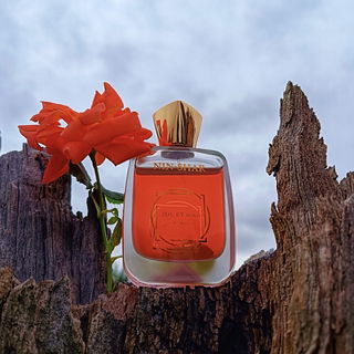 Nin-Shar - Jul et Mad