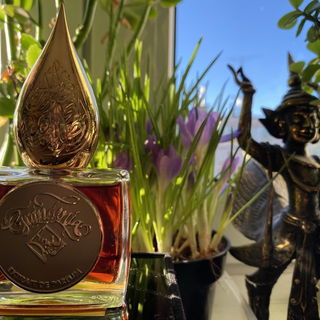 Grandenia by Areej Le Doré