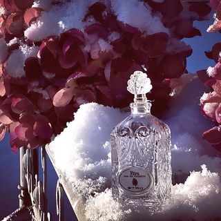 Langsam kommt Sehnsucht nach Blumen auf. Ganz lieben Dank euch. 🤗😘