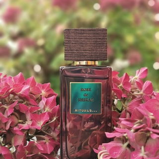 Die letzten Hortensienblüten im November...