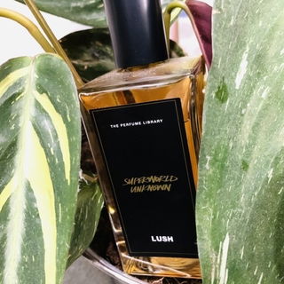 Superworld Unknown (Perfume) / Superworldunknown - Lush