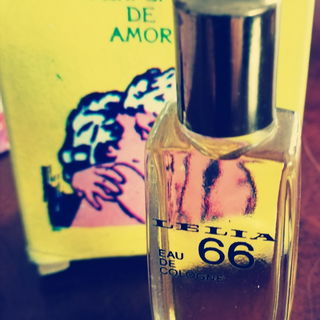 Lelia 66 - Gustav Lohse