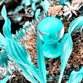 Miss Be Bop - Kesling