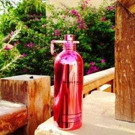 Candy Rose - Montale