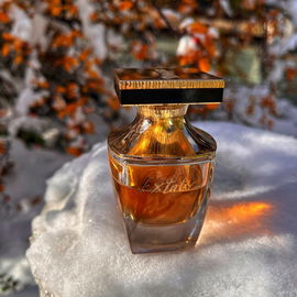 Extatic (Eau de Parfum) - Balmain