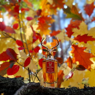 Kropp Och Själ - Pana Dora