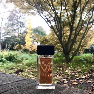Perfume Calligraphy Saffron by Aramis