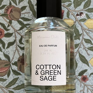 Cotton & Green Sage by Massimo Dutti