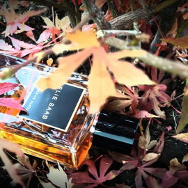 Essence N°8: Santal by Elie Saab