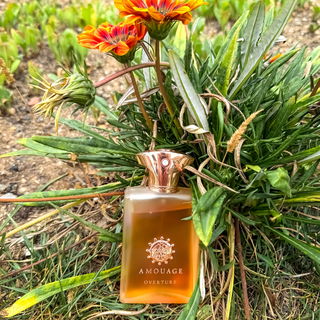 Overture Man by Amouage