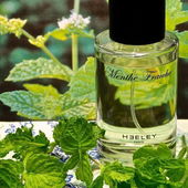 ..wer hat die Zahnpasta Tube offen gelassen?.. (by TomLavender)