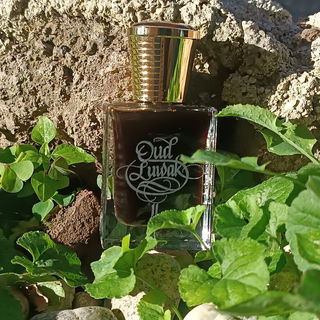 Oud Luwak II by Areej Le Doré
