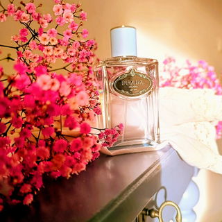 Infusion d'Amande von Prada