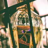 'Catching kings'  👑🔵🟡👑🌟 (von Olfaktoria)