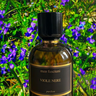 Viole Nere by Meo Fusciuni