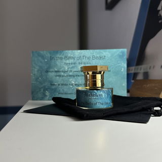 In the Belly of the Beast - Toskovat'