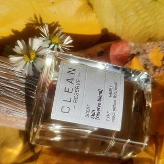 Skin [Reserve Blend] (Eau de Parfum) - Clean